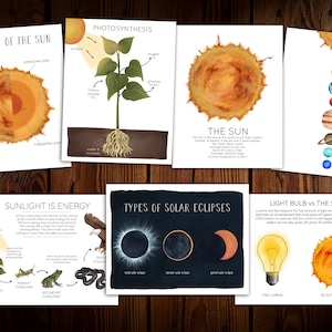 The Sun Mini Nature Study