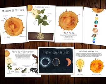 The Sun Mini Nature Study