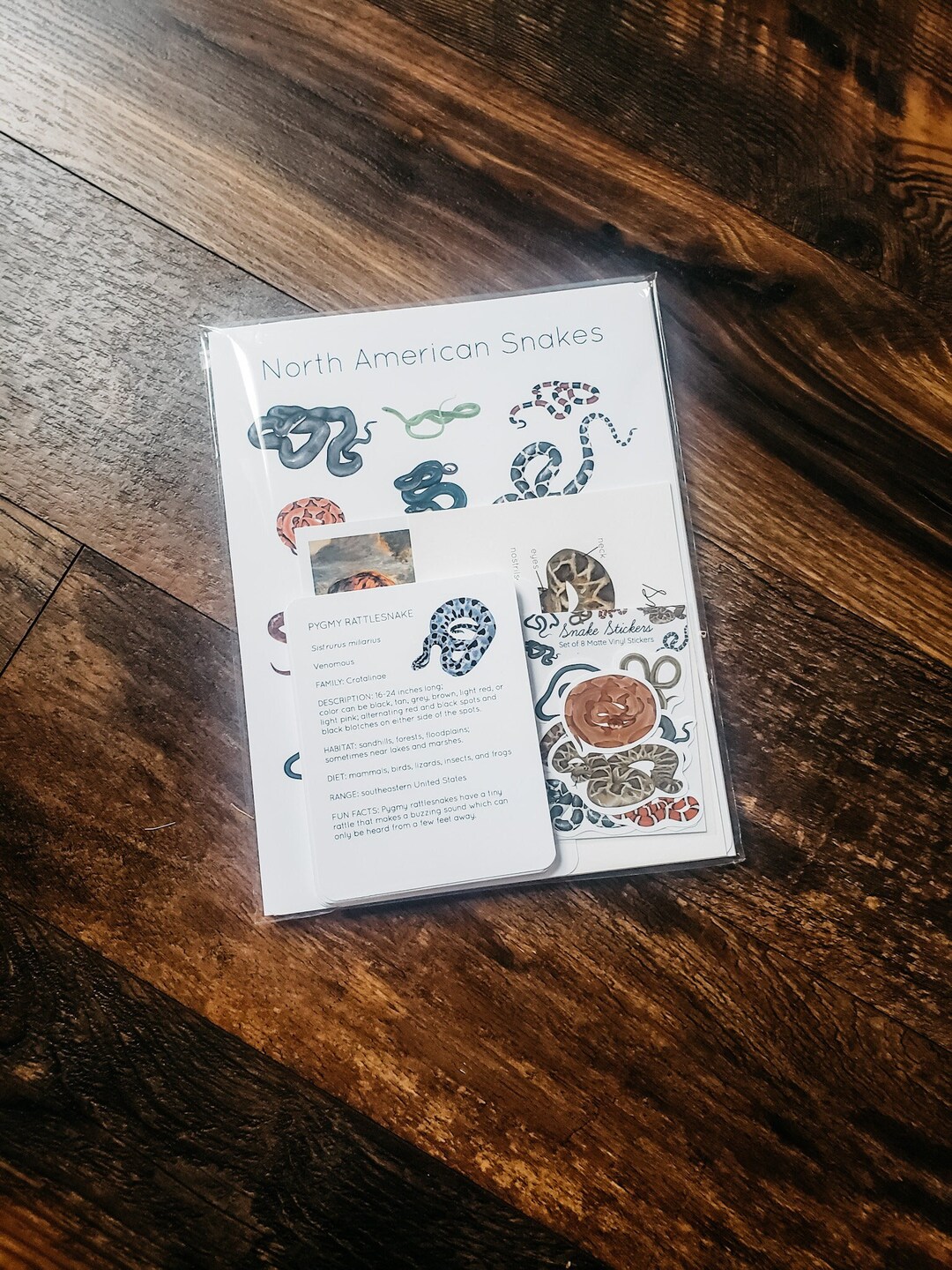 Snake Mini Study Physical Bundle - Etsy