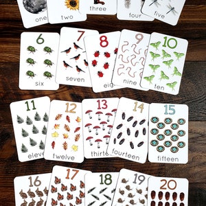 May include: A set of 20 flashcards featuring numbers 1 through 20 with corresponding illustrations of nature-themed objects. Each card has a white background with a black border and features a large number in orange and the word for the number in black.