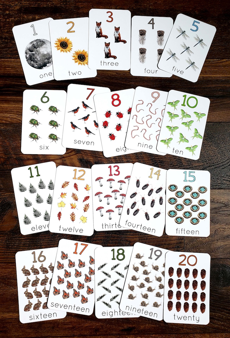 May include: A set of 20 flashcards featuring numbers 1 through 20 with corresponding illustrations of nature-themed objects. Each card has a white background with a black border and features a large number in orange and the word for the number in black.