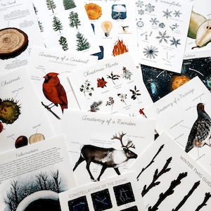 May include: A collection of educational prints featuring botanical illustrations, diagrams of snowflakes, and celestial charts. The prints include titles like "Anatomy of a Cardinal," "Christmas Plants," and "Anatomy of a Reindeer," with detailed drawings and text.