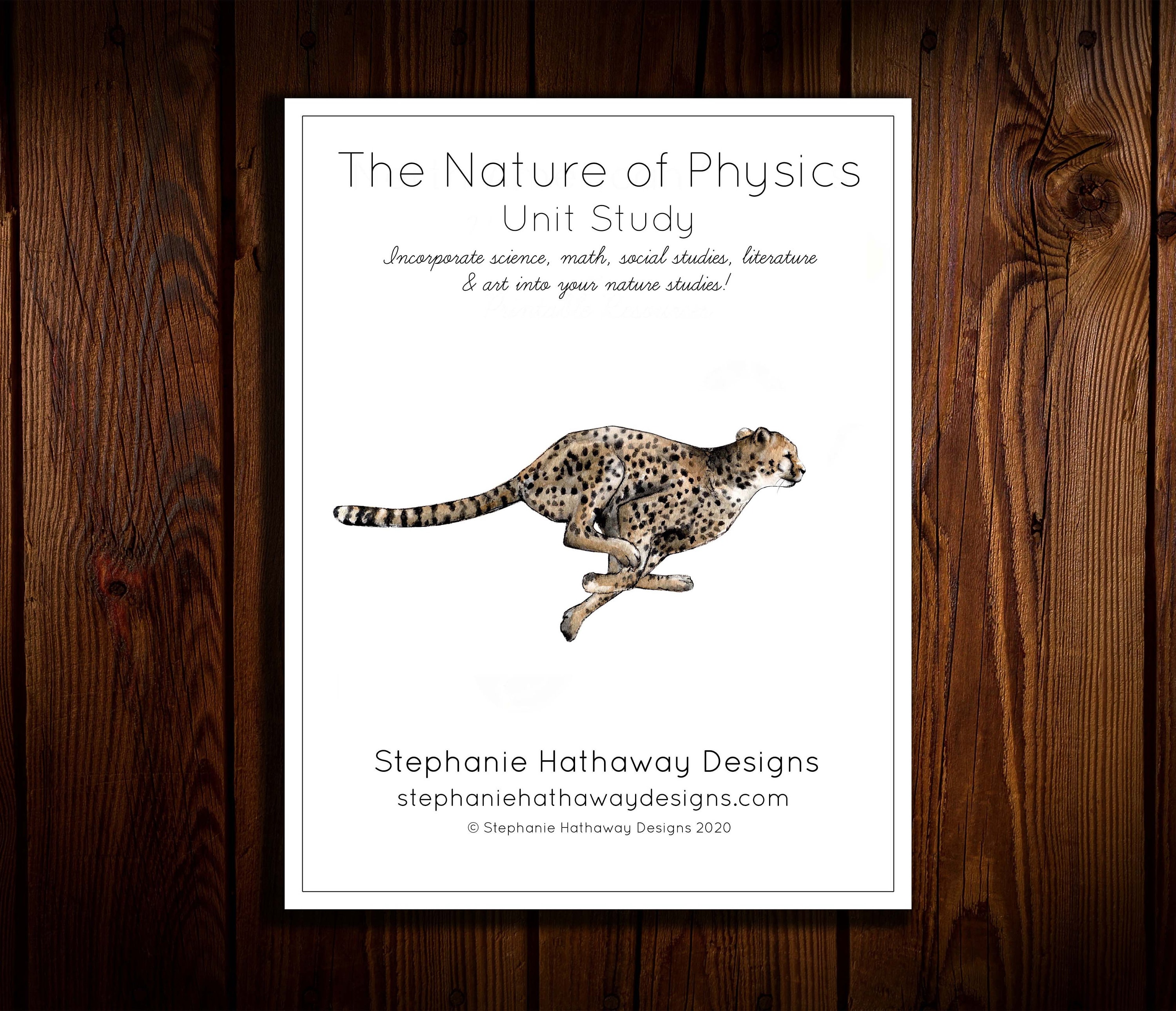 Physics in Nature Unit Study - Etsy