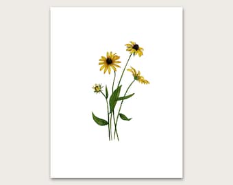 Black-Eyed Susan Art Print