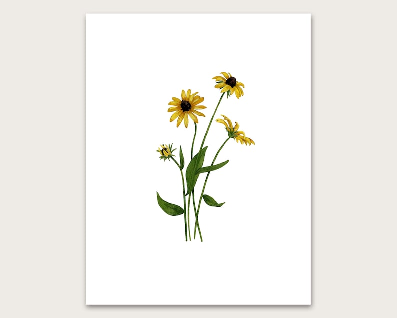 Black-Eyed Susan Art Print image 1