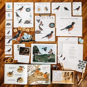 Robin Unit Study