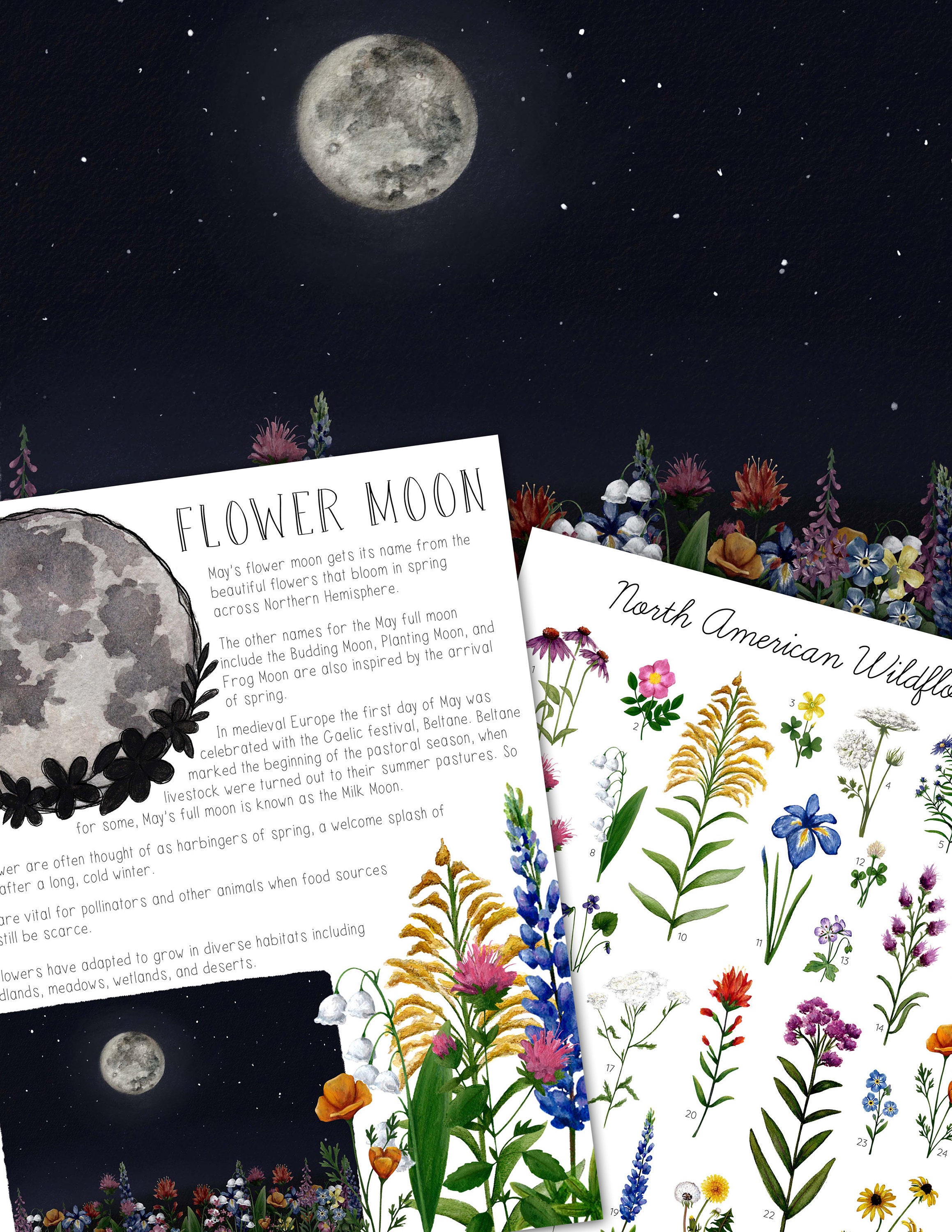 Flower Moon Mini Nature Study - Etsy