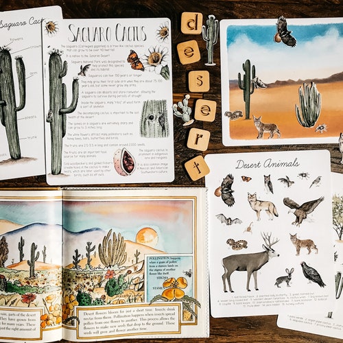Desert Unit Study - Etsy Desert Unit Study - Etsy