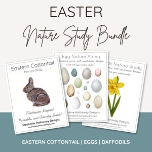 May include: A set of three printable nature study guides for an Easter theme. The guides feature an Eastern Cottontail rabbit, a collection of eggs, and a daffodil flower. Each guide includes the text "Incorporate science, math, social studies, literature & art into your nature studies!" and the name "Stephanie Hathaway Designs".