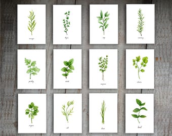 Kitchen Herbs Watercolor Illustration Art Print Set of 6 | Etsy