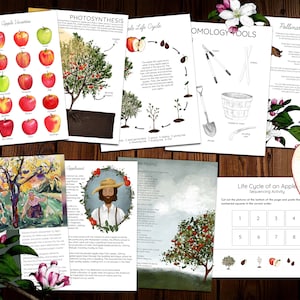 Apple Unit Study Bundle