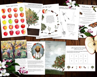 Apple Unit Study Bundle