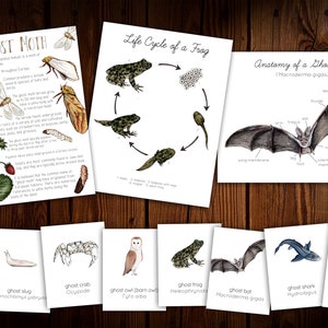 Ghost Animals Unit Study