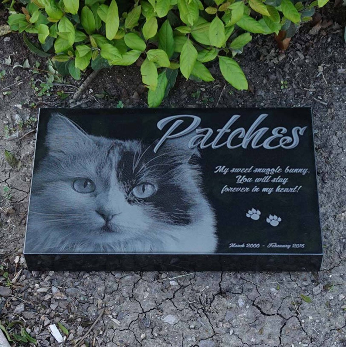 Engraved Cat Memorial Engraved Memorial Laser Engraved Pet Etsy