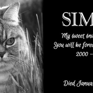 Puede incluir: Placa conmemorativa en blanco y negro con retrato de gato y texto. El gato, llamado Simba, se muestra en primer plano. El texto incluye el nombre, las fechas 2000-2015 y un mensaje cari&ntilde;oso: "My sweet snuggle bunny. You will be forever in my heart!" y "Died January 27, 2015."
