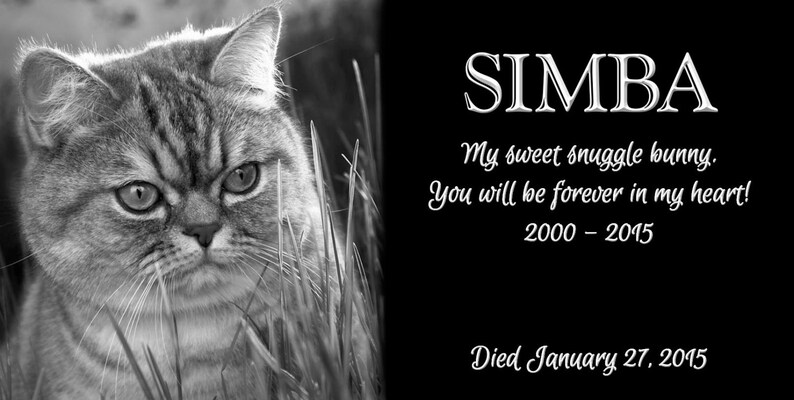 Puede incluir: Placa conmemorativa en blanco y negro con retrato de gato y texto. El gato, llamado Simba, se muestra en primer plano. El texto incluye el nombre, las fechas 2000-2015 y un mensaje cari&ntilde;oso: "My sweet snuggle bunny. You will be forever in my heart!" y "Died January 27, 2015."