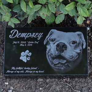 Puede incluir: L&aacute;pida conmemorativa para mascotas de granito negro con el nombre "Dempsey" y las fechas 16 de julio de 2005 - 3 de mayo de 2016. Presenta una huella de pata y un retrato detallado de un perro. El texto dice "Mi fiel y cari&ntilde;oso amigo - Siempre a mi lado, siempre en mi coraz&oacute;n."
