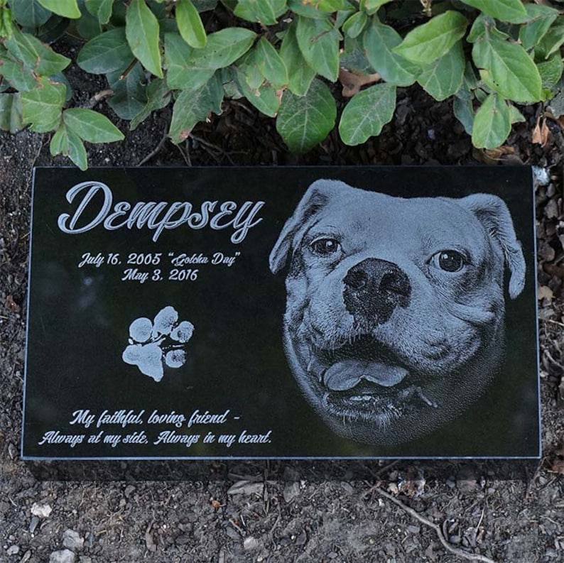Puede incluir: L&aacute;pida conmemorativa para mascotas de granito negro con el nombre "Dempsey" y las fechas 16 de julio de 2005 - 3 de mayo de 2016. Presenta una huella de pata y un retrato detallado de un perro. El texto dice "Mi fiel y cari&ntilde;oso amigo - Siempre a mi lado, siempre en mi coraz&oacute;n."