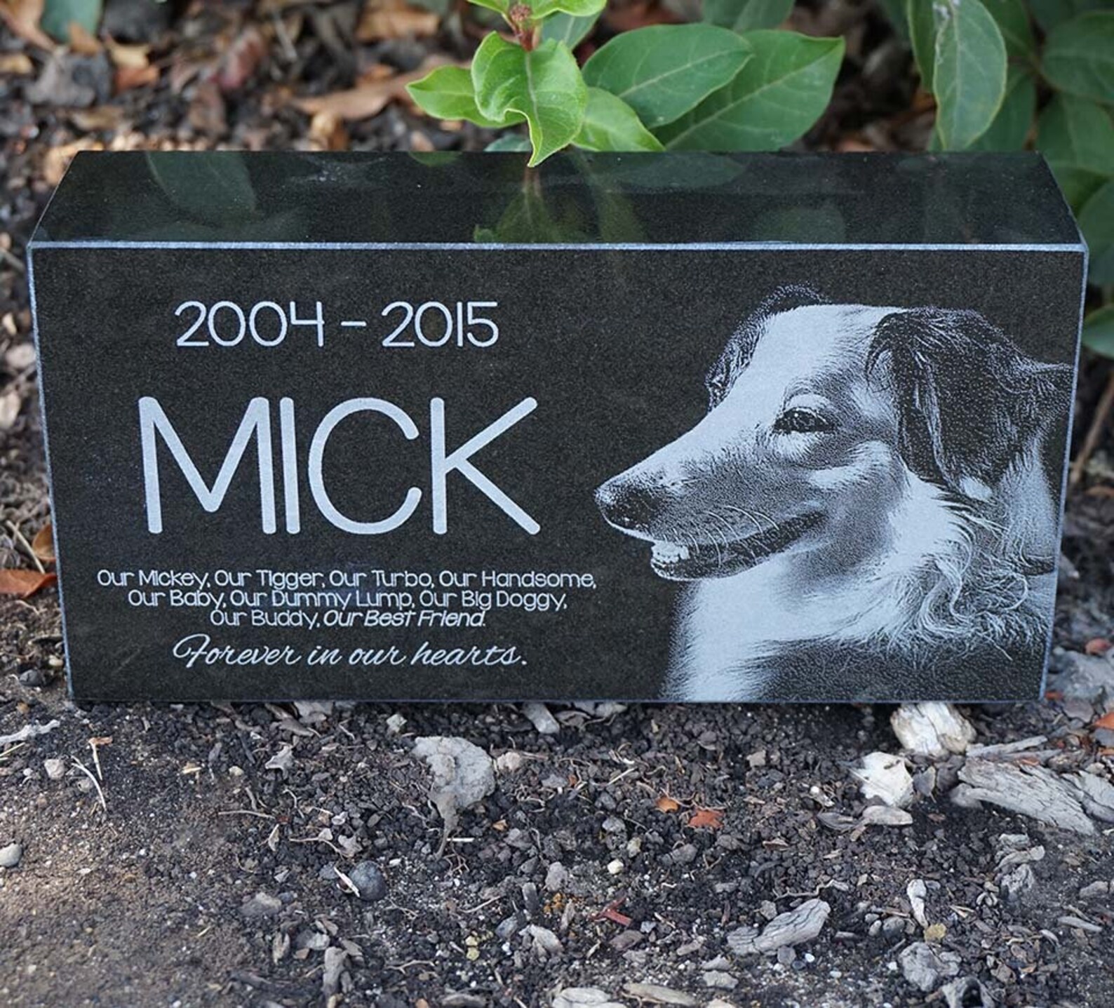 Custom Pet Monument Granite Pet Memorial Laser Engraved Etsy