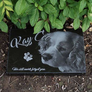 Puede incluir: Una l&aacute;pida negra de granito para mascotas con el nombre "Ray Cee" en escritura elegante. Presenta un retrato detallado en escala de grises de un perro, una huella de pata y la inscripci&oacute;n "We will never forget you."