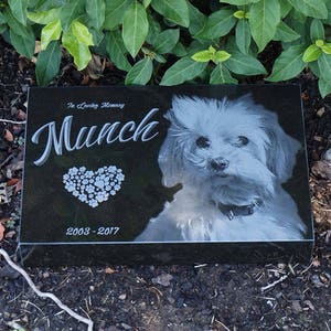 Puede incluir: Una l&aacute;pida conmemorativa para mascotas de granito negro con el nombre "Munch" en escritura blanca. Incluye un coraz&oacute;n hecho de huellas de patas, un retrato de perro y los a&ntilde;os 2008-2017.