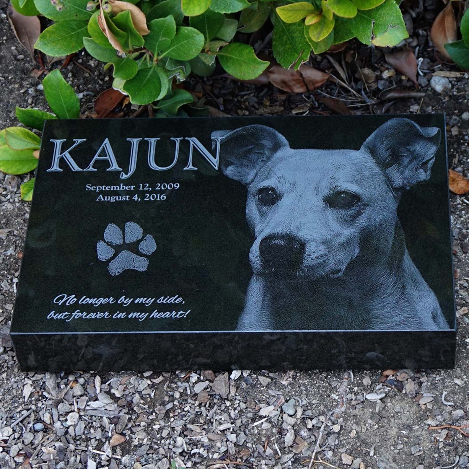 Pet Headstone Granite Pet Marker Laser Engraved Pet Marker Etsy