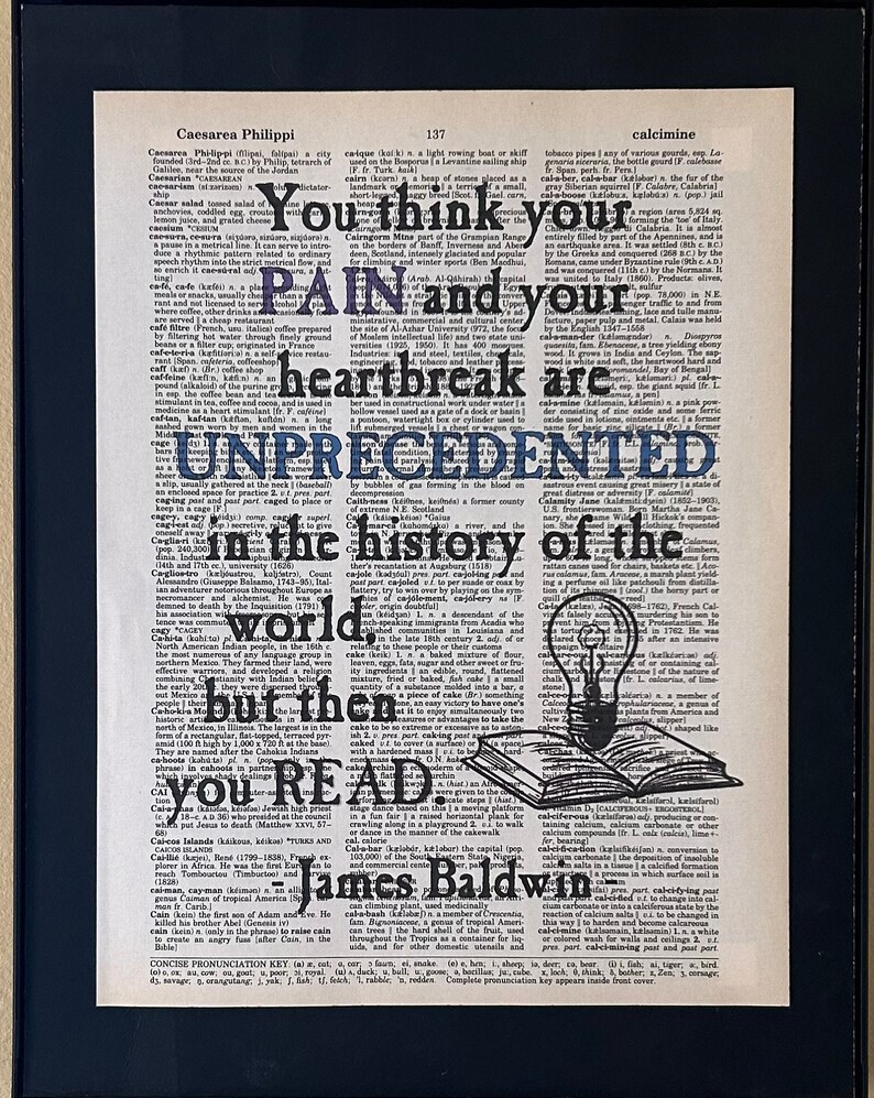 You think your pain and your heartbreak are unprecedented in the history of the world - but then you read. James Baldwin is printed on a dictionary page.