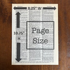 Pode incluir: Uma imagem em preto e branco de uma p&aacute;gina de dicion&aacute;rio com as palavras "Page Size" destacadas em um tipo de letra grande. A p&aacute;gina tamb&eacute;m inclui as medidas "8,25" e "10,75" em polegadas.