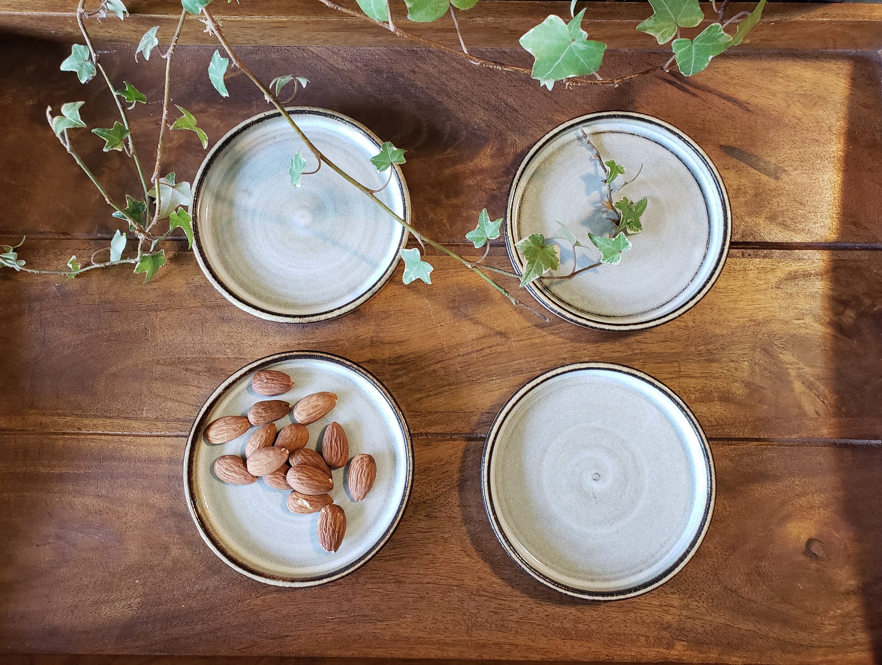 Set of 4 Rustic and Earthy Tapas Plates White tan Brown