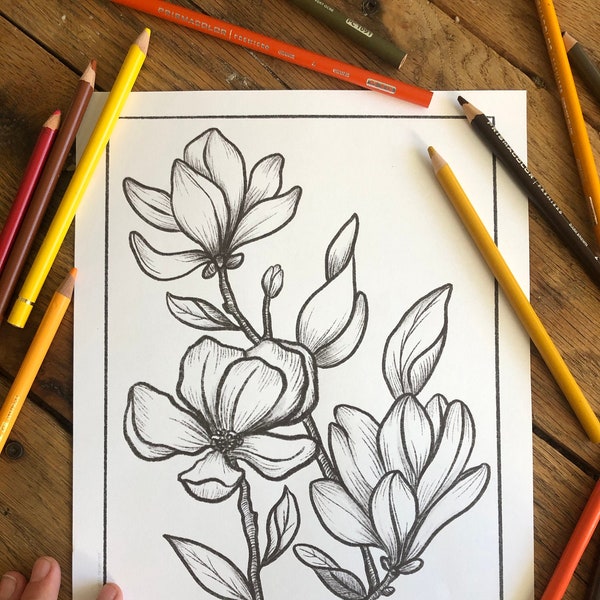 Magnolia-Colouring Sheet Printable