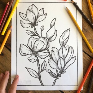 May include: A black and white line drawing of magnolia flowers and leaves. The drawing is on a white background and is ready to be colored in.