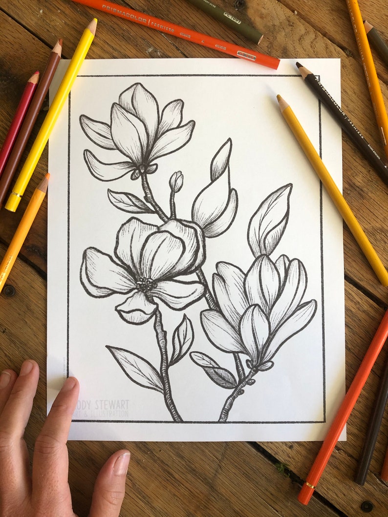 May include: A black and white line drawing of magnolia flowers and leaves. The drawing is on a white background and is ready to be colored in.