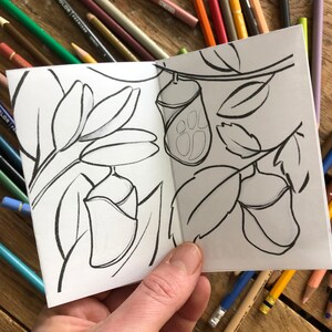 May include: A black and white coloring book page with a butterfly in a cocoon on a branch with leaves. The butterfly is in the shape of a paw print.