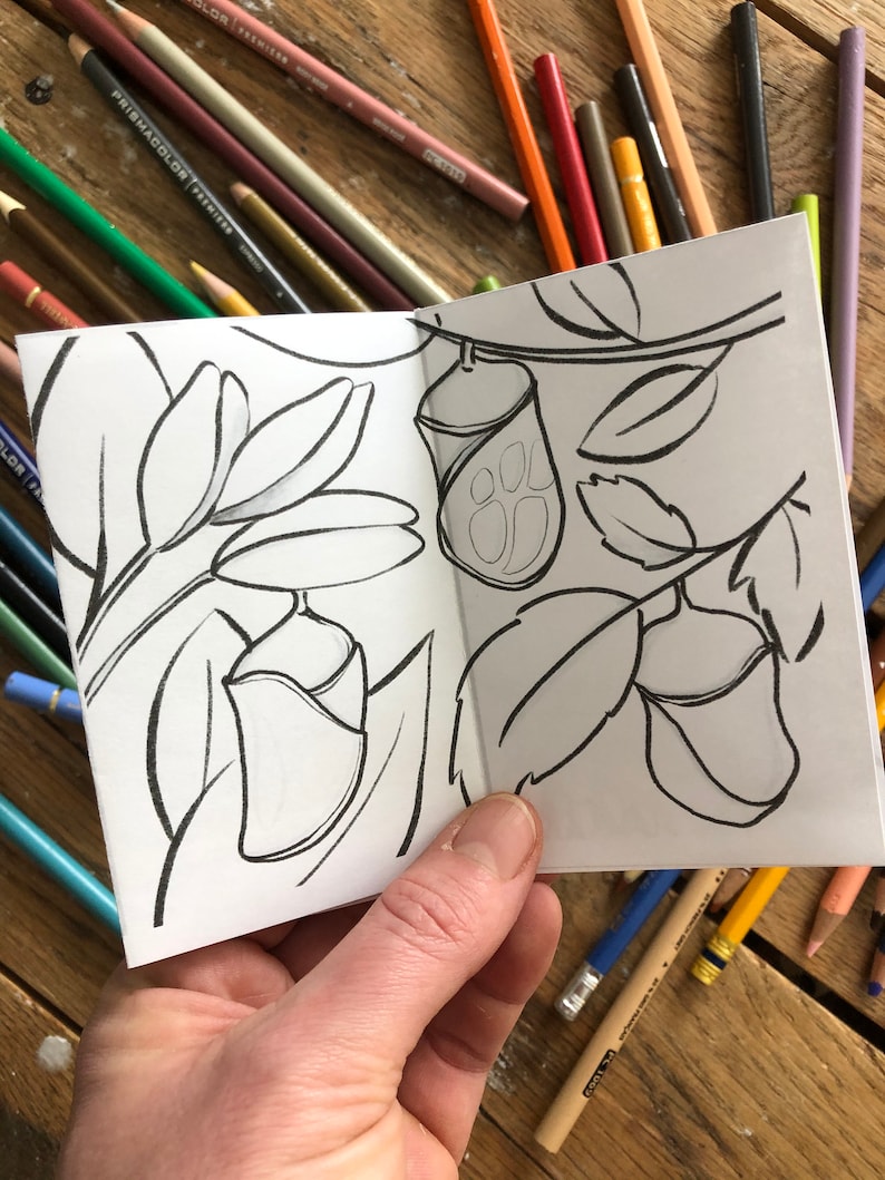 May include: A black and white coloring book page with a butterfly in a cocoon on a branch with leaves. The butterfly is in the shape of a paw print.