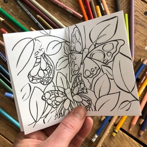 May include: A black and white coloring book with a butterfly design. The butterfly has large wings with intricate patterns. The book is open to a page with a butterfly on a leaf.