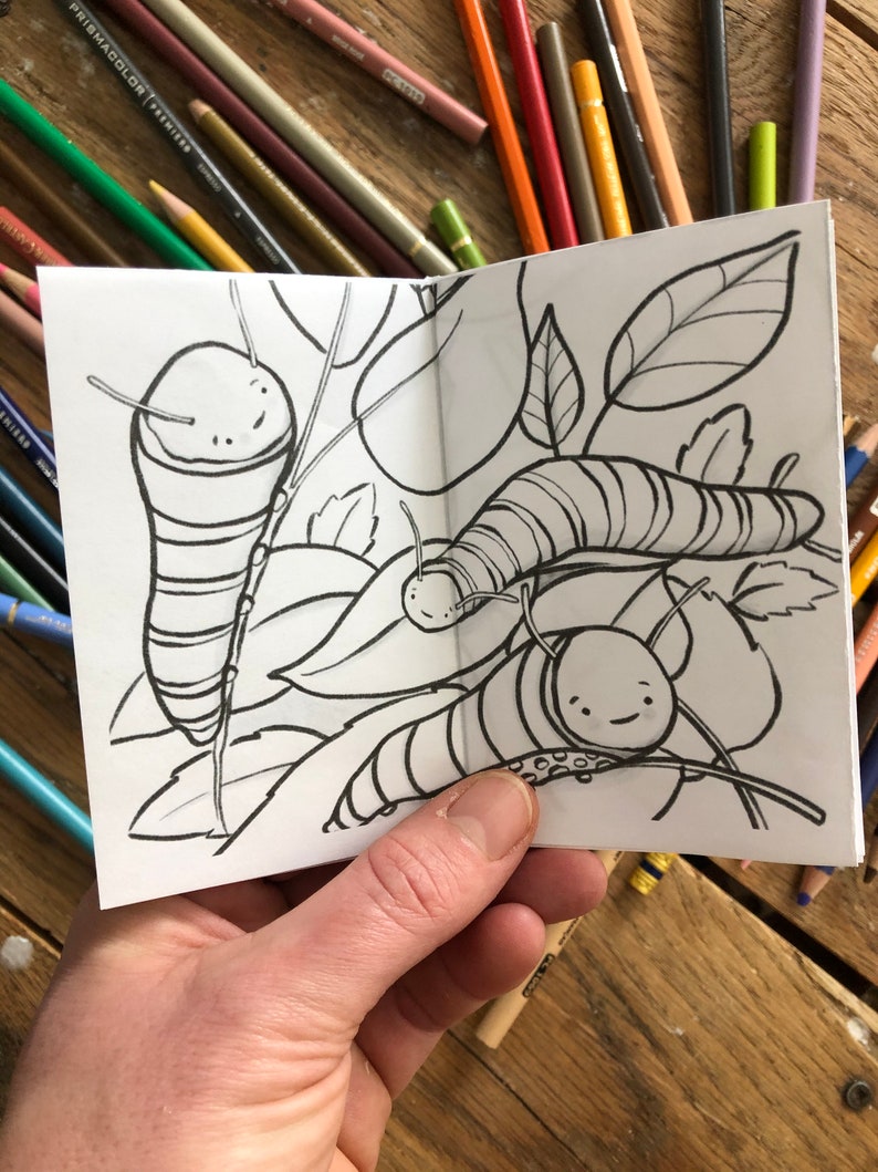 May include: A black and white coloring book page featuring three caterpillars on leaves. The caterpillars have striped bodies and cute faces.