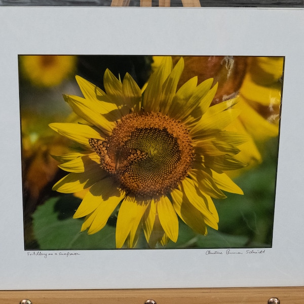 Matted Prints - Sunflowers