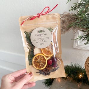 Puede incluir: Una bolsa de pl&aacute;stico transparente llena de fruta seca, especias y hierbas. La bolsa est&aacute; atada con un cordel rojo y blanco y tiene una etiqueta blanca que dice "Holiday Magic" e instrucciones para hacer una bebida navide&ntilde;a.