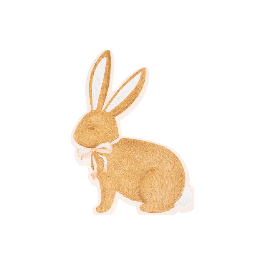 Bunny Napkins 24 ct Some Bunny is One Party Bunny Napkins Easter Brunch Party Spring Party Napkins Bunny Baby Shower Bunny