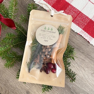 Winter Simmer Pot Kit: Natural Pine & Cranberry Stovetop Potpourri