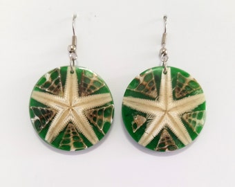 Fabulous Drop Earrings, Acrylic Disc Dangle Earrings, White and Green Color Tones Featuring Stunning Starfish, Dangle or Drop Earrings, 511