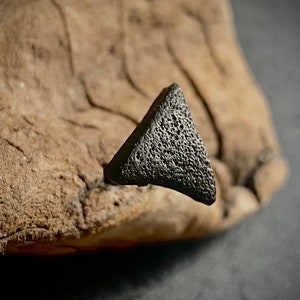 Peut inclure: Une petite boucle d'oreille triangulaire en métal noir texturé.