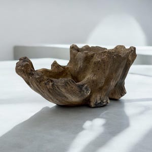 May include: A handcrafted, brown, wooden bowl with a natural, organic shape. The bowl has a rough, textured surface and a unique, asymmetrical design. The bowl is ideal for decorative purposes or as a small catch-all for keys or jewelry.