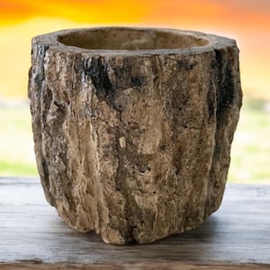 May include: A small, round, stone-like planter with a rough, textured surface. The planter is a light brown color with darker brown and black accents. The opening is circular. The planter is sitting on a wooden surface.