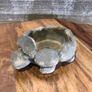 Turtle Planter, Concrete Planter, Succulent Planter, Turtle Decor, Turtle Pot, Turtle Container, Succulent Turtle Planter Pot