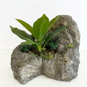 Concrete Rock Faux Succulent Desk Planter, Artificial Succulent Desk Arrangement, Succulent Rock planter