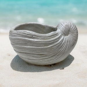 Striped Seashell Planter