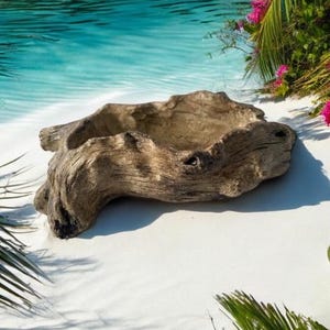 May include: A natural, weathered wooden bowl with an organic shape. The bowl is a light brown color and sits on a white surface, with a turquoise body of water in the background. Palm fronds and pink flowers frame the scene.