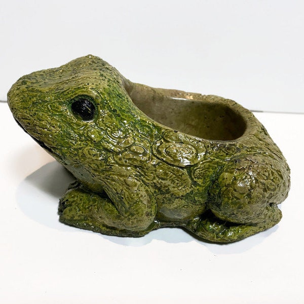 Concrete Frog Succulent Planter Pot, Succulent Frog Planter, Frog Planter Pot, Frog Succulent Planter, Frog Planter pot