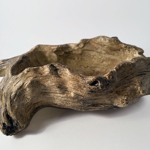 Faux Concrete Driftwood Planter